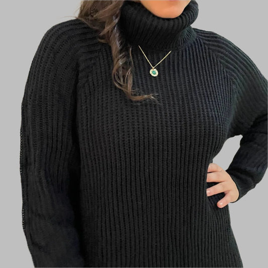 Turtle neck knitted dress